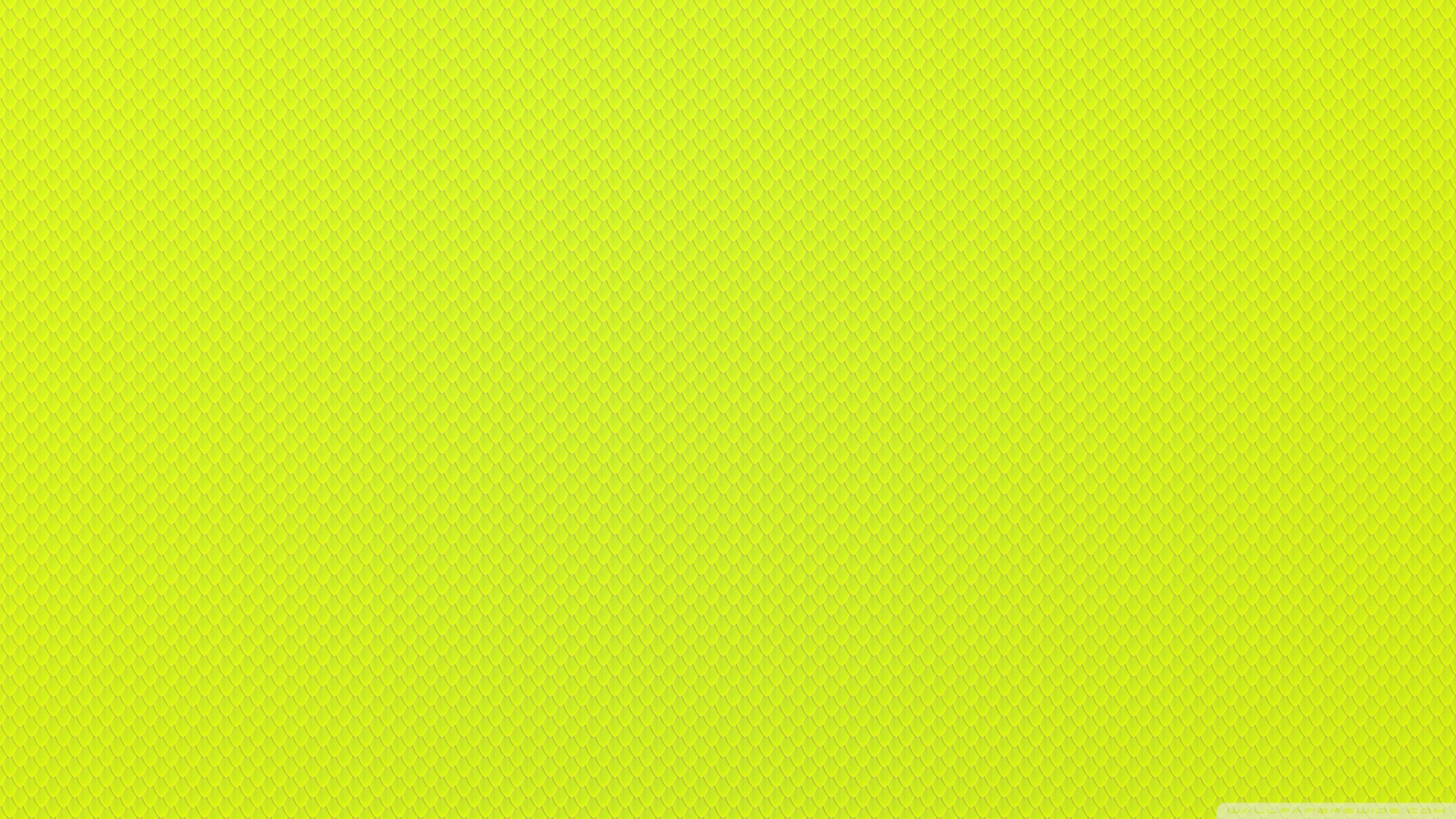 Colorfulness - HD Wallpaper 