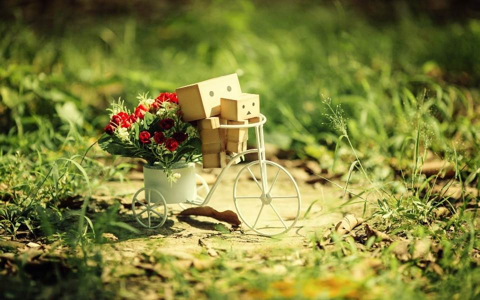Unique Wallpaper Hd Free Download Hd Wallpapers For - Amazon Box With Flowers - HD Wallpaper 
