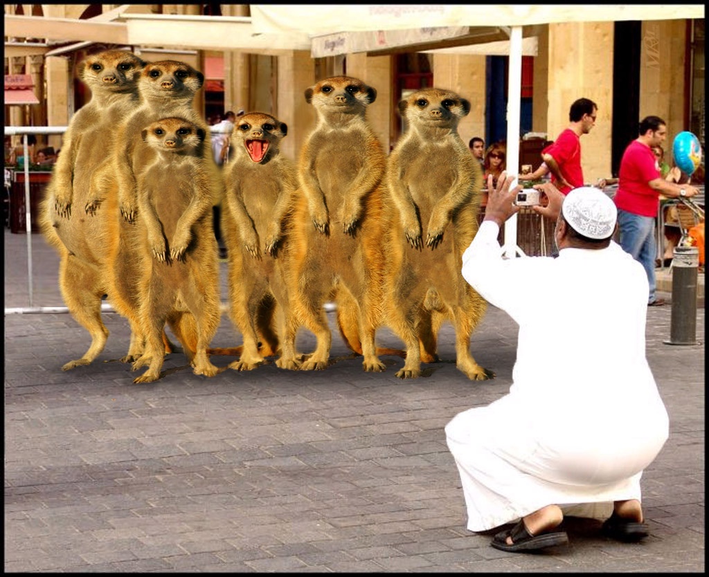 Funny Pictures 171 Widescreen Wallpaper - Eating In A Niqab - HD Wallpaper 