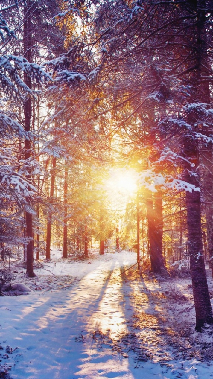 Winter Iphone Wallpapers Hd Group With Iphone 6 Plus Winter Backgrounds For Iphone 6 712x1267 Wallpaper Teahub Io
