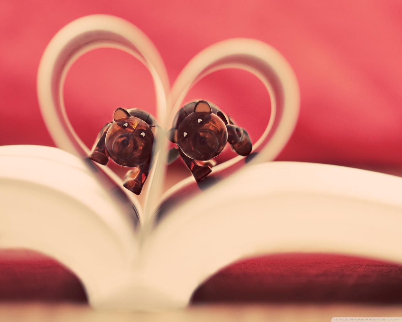 Love And Love Only Image Download - HD Wallpaper 