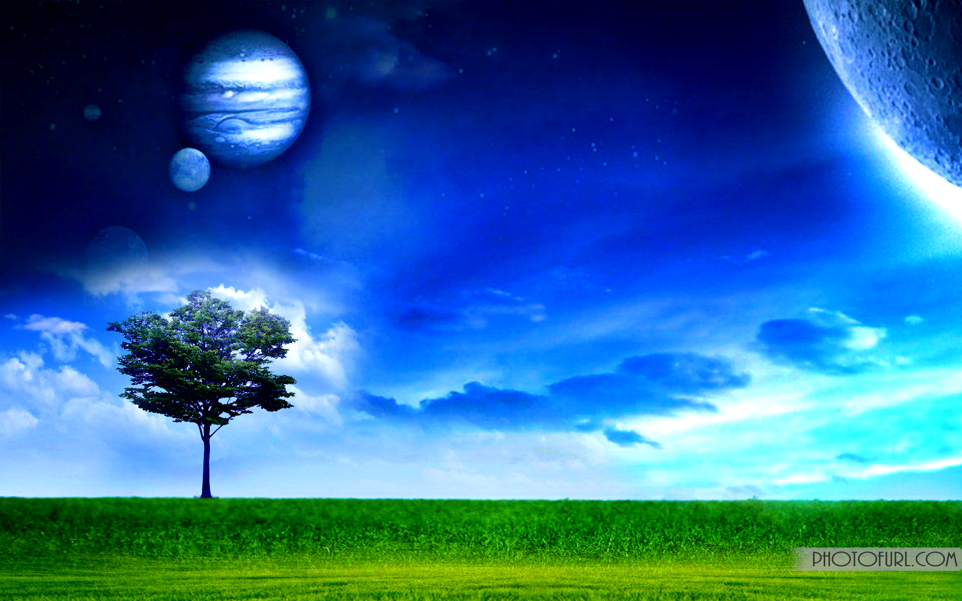 Animated Wallpapers For All Computers And Laptops - Wallpaper - HD Wallpaper 