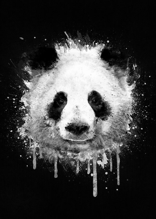 Panda Graffiti - HD Wallpaper 