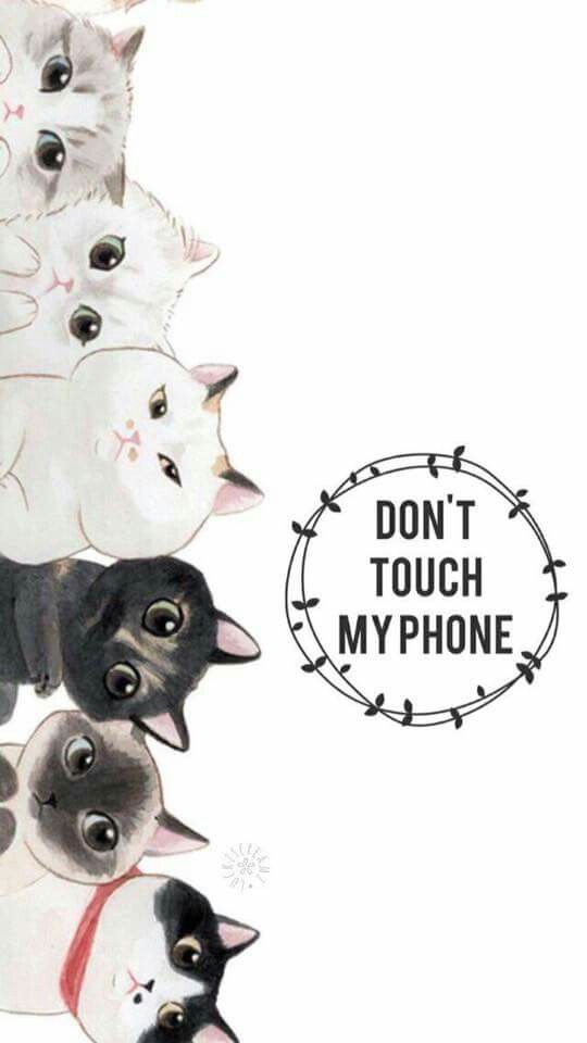 Iphone Xs Wallpaper Cat - HD Wallpaper 