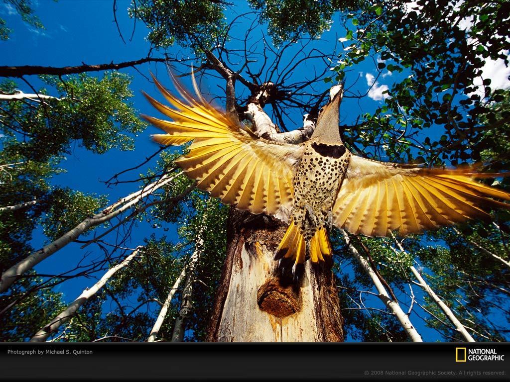 Life In Color - Worldtech Led Tv 32 Inch Price In India - HD Wallpaper 