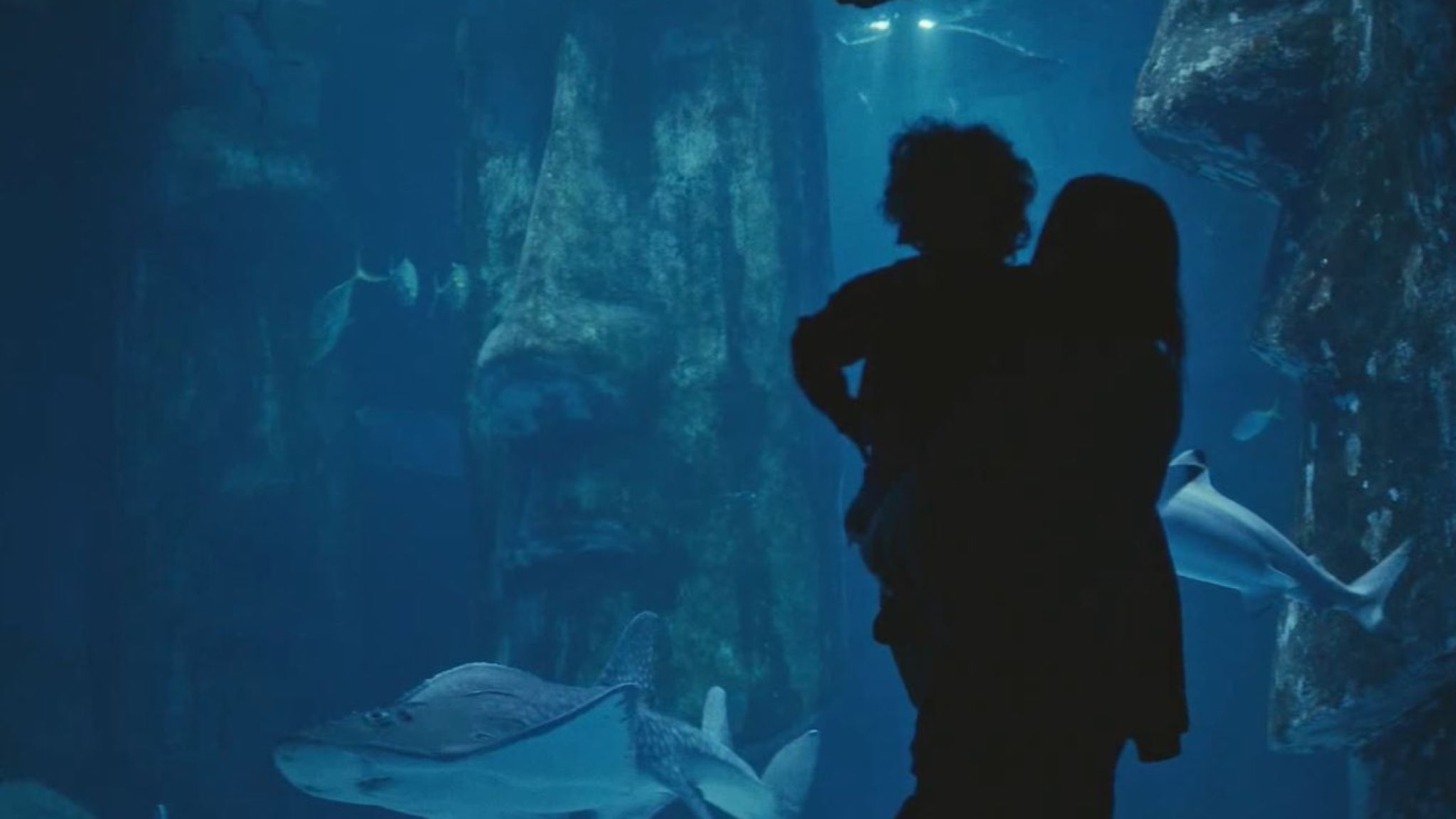The Mi6 Advert Features A Mother And Her Son Watching - Underwater - HD Wallpaper 