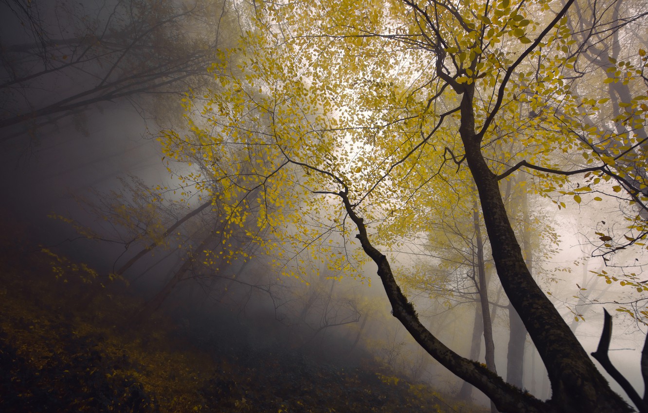 Photo Wallpaper Autumn, Fog, Armenia, Syunik - Wallpaper - HD Wallpaper 