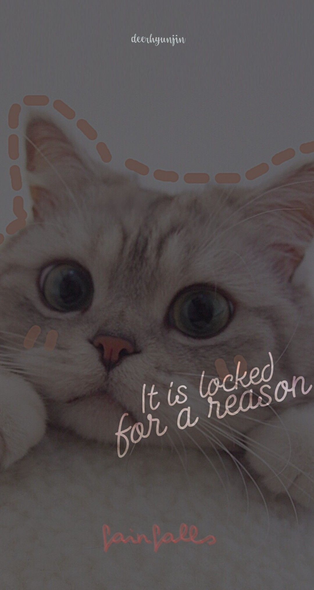 Kucing Wallpaper Aesthetic - HD Wallpaper 