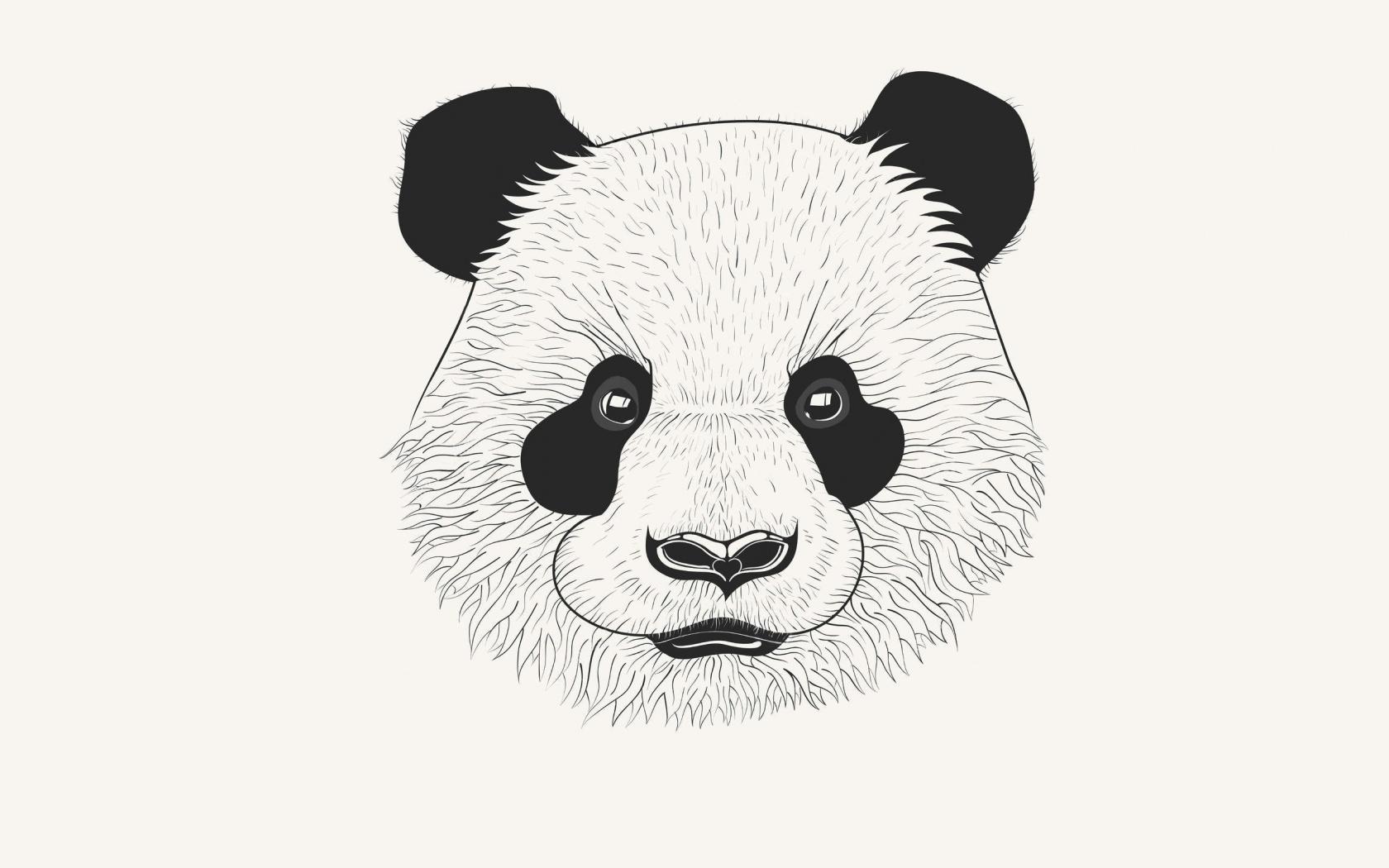 Panda, Art, Muzzle - Panda Art - HD Wallpaper 