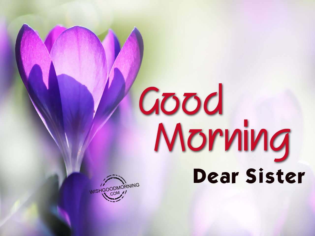 Good Morning Sister - Good Morning Images Sister - HD Wallpaper 