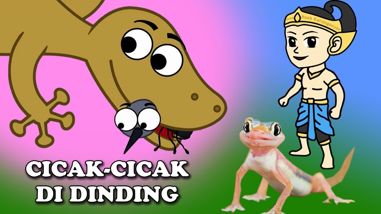 Cartoon - HD Wallpaper 