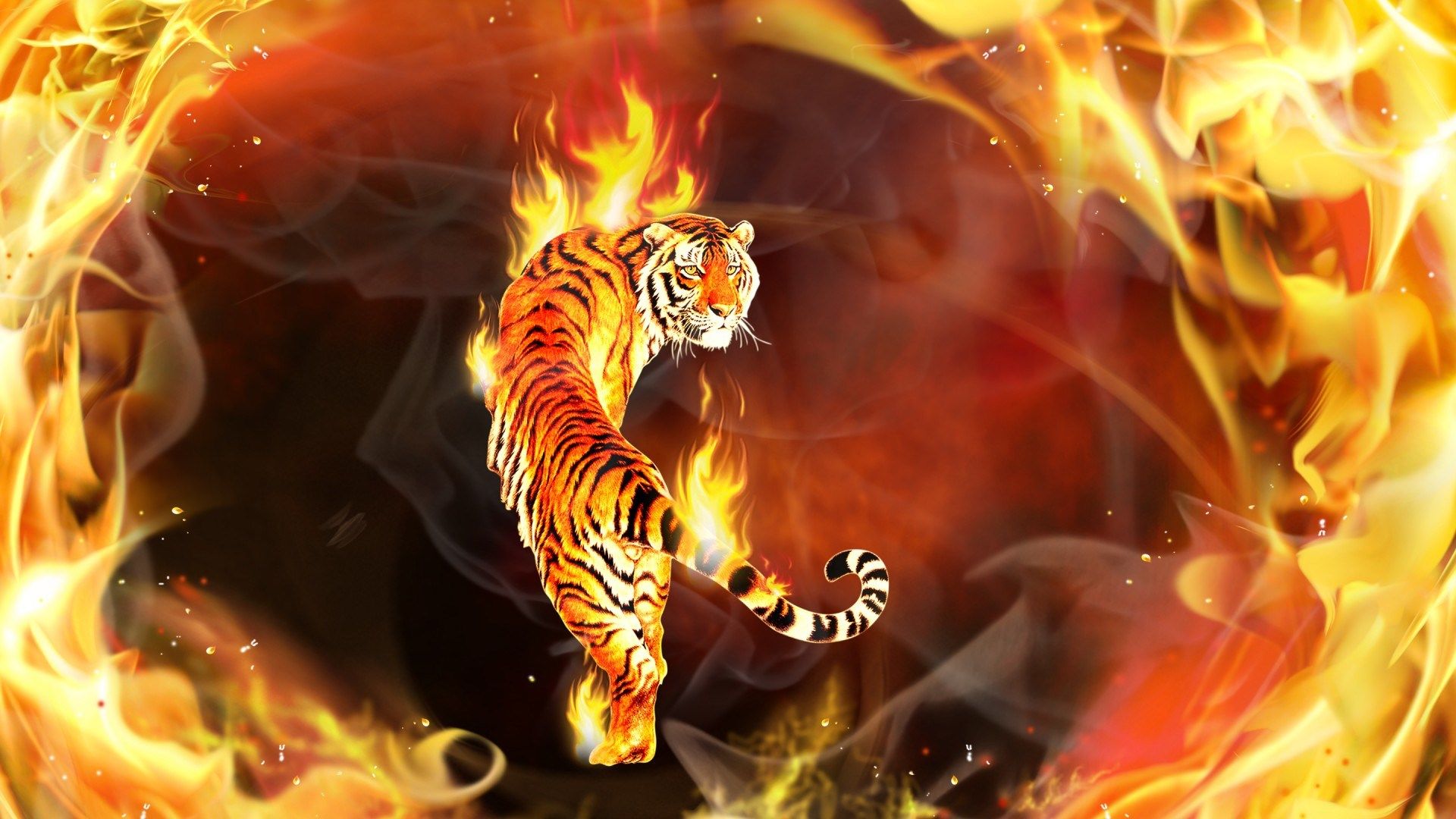 Fire Tiger Wallpaper Hd - HD Wallpaper 