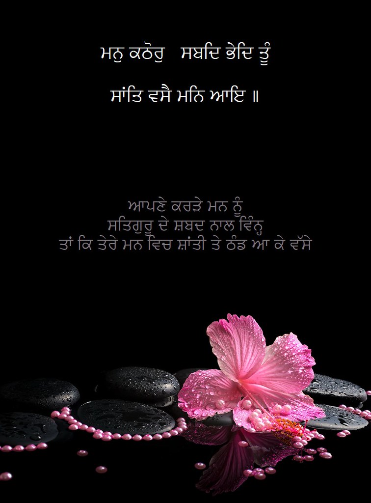 Still Life Mobile Photography - HD Wallpaper 