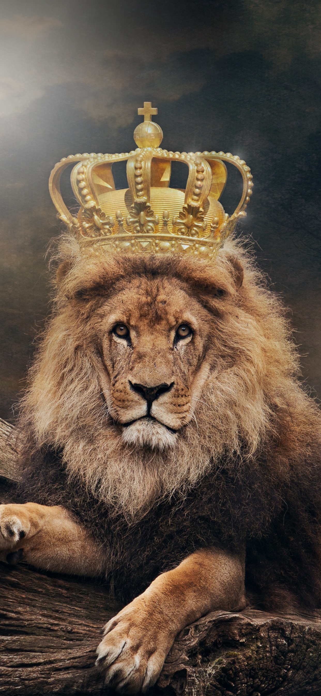 Iphone Wallpaper Lion, King, Crown - HD Wallpaper 