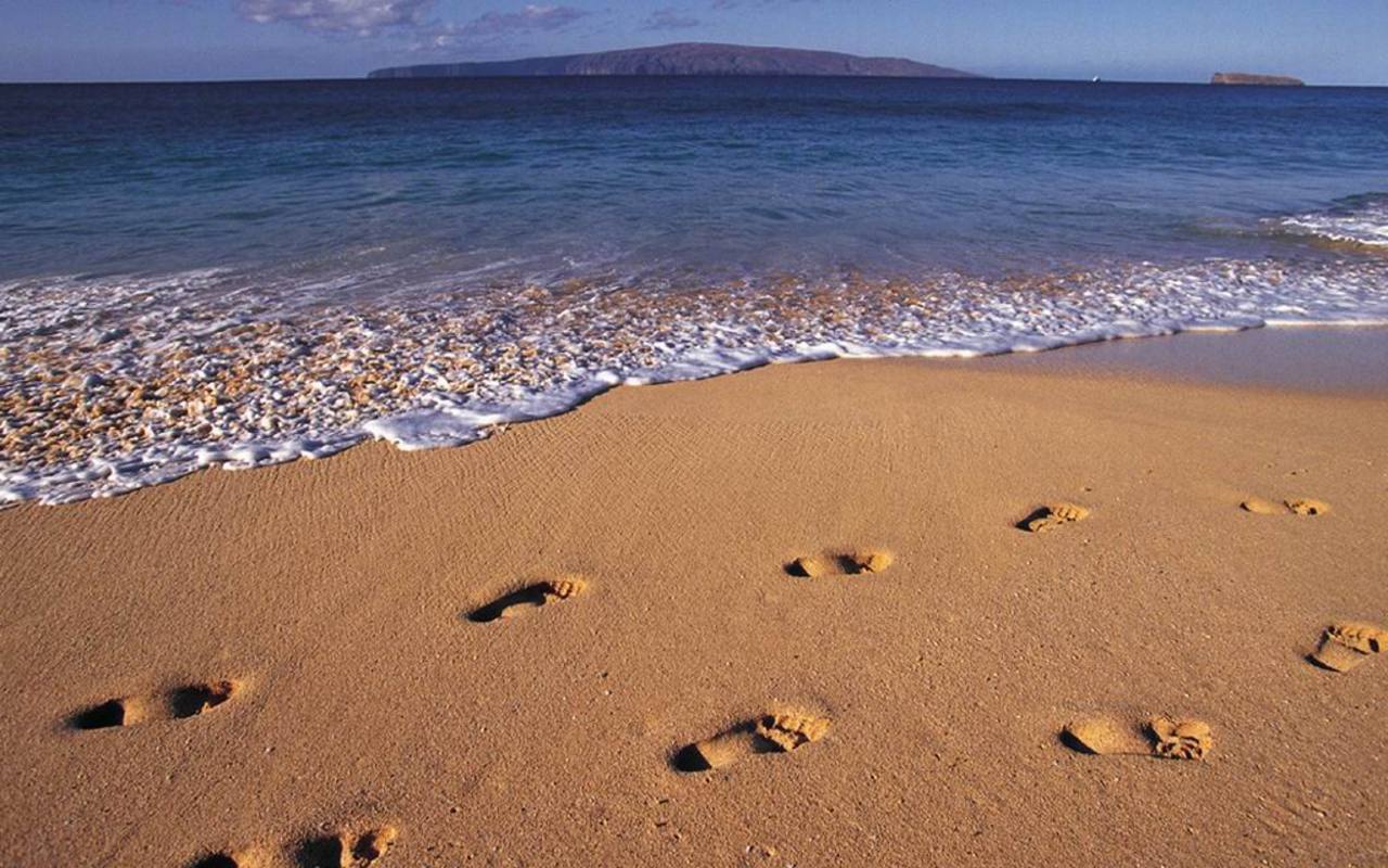 Pantai - Walking In The Sand Background - HD Wallpaper 