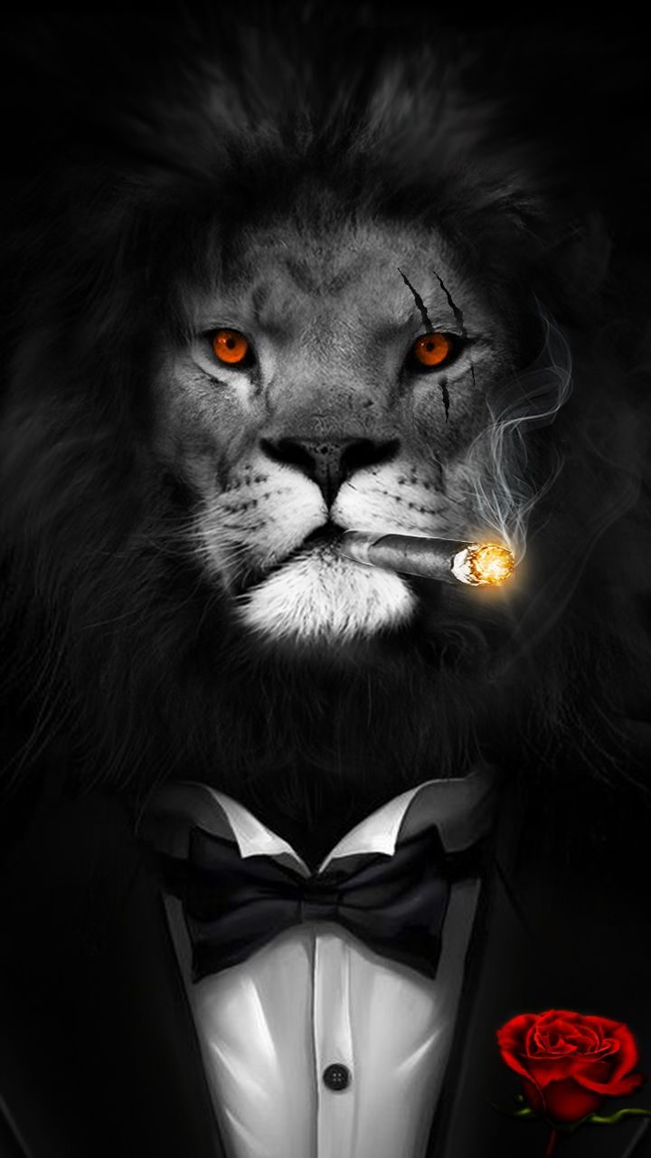 Big Boss Courage, Bravery And Smart - Lion In Black Suit - 720x1280  Wallpaper 