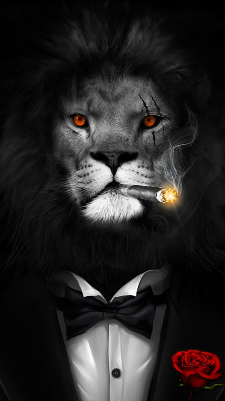 Big Boss Courage, Bravery And Smart - Lion In Black Suit - HD Wallpaper 