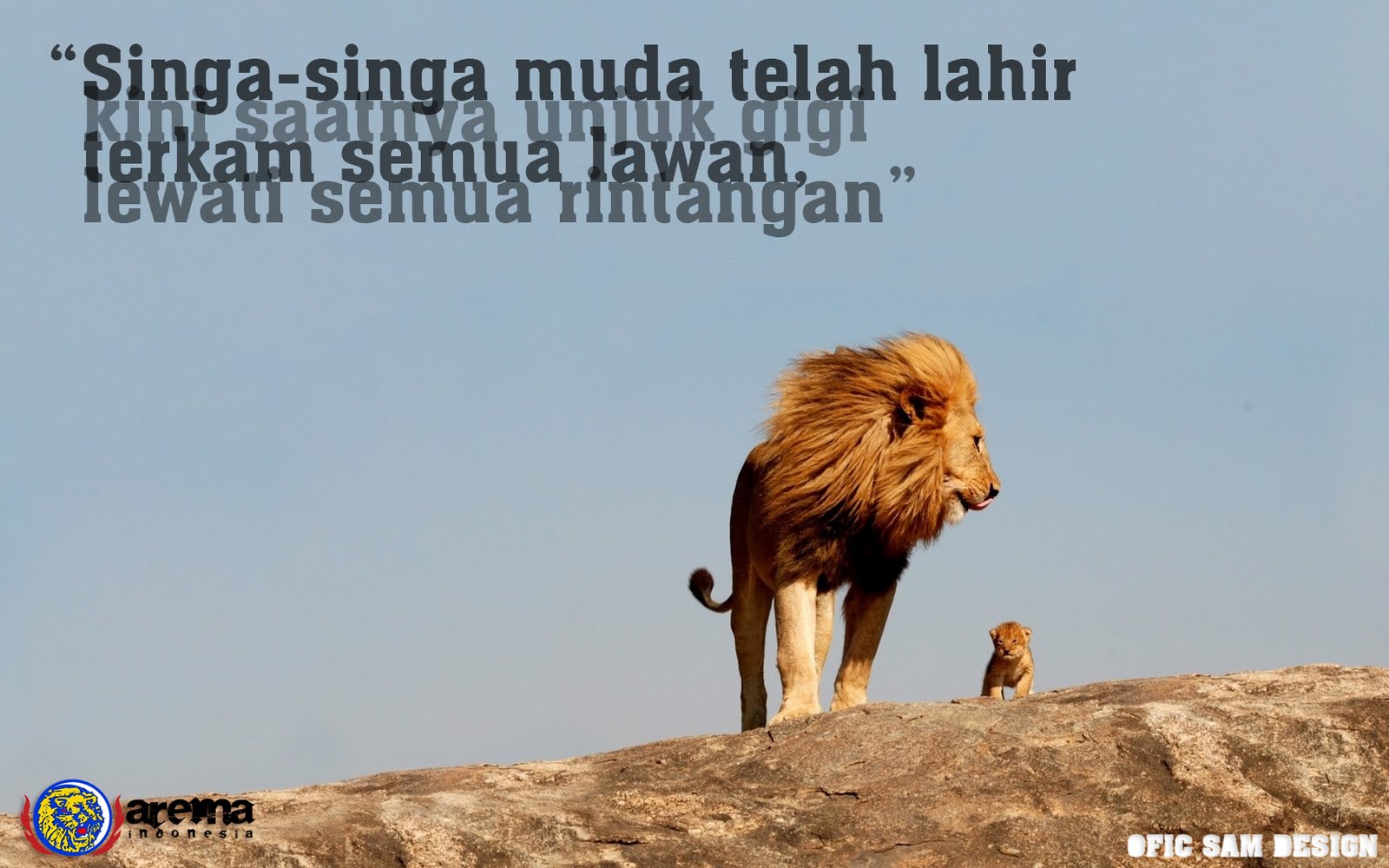 Real Lion King Pride Rock - HD Wallpaper 