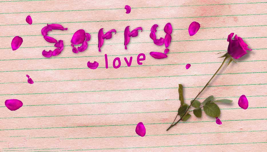 252 Sorry Images Picture Photos Wallpaper For Love - Rose - HD Wallpaper 