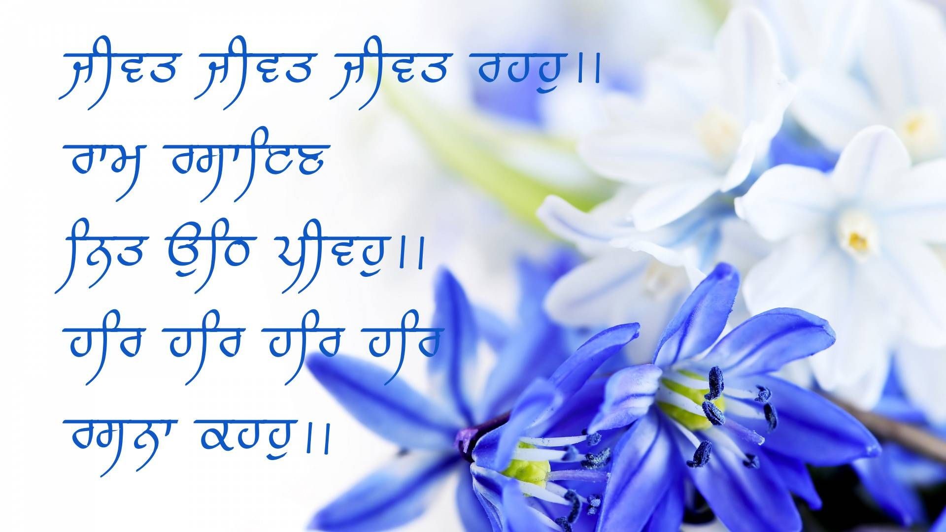 Birthday Wish Gurbani Wallpaper For Desktop - Happy New Year Images With Flowers - HD Wallpaper 