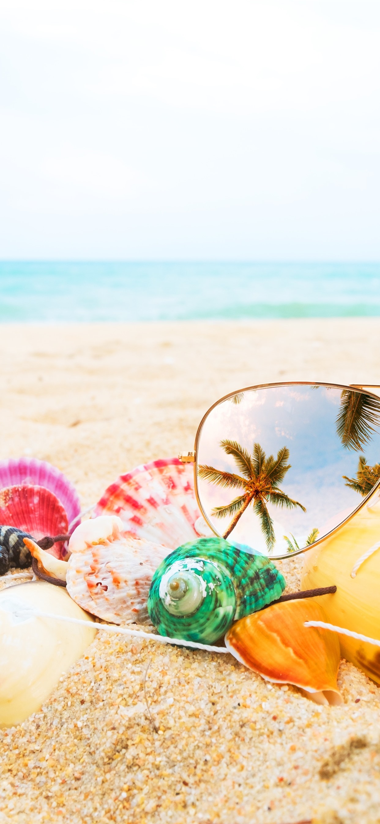 Iphone Wallpaper Sunglass, Seashell, Beach, Sea - Nature Creative Wallpaper Hd - 1242x2688 Wallpaper Iphone Wallpaper Sunglass, Seashell, Beach, Sea - Nature Creative Wallpaper Hd - 1242x2688 Wallpaper