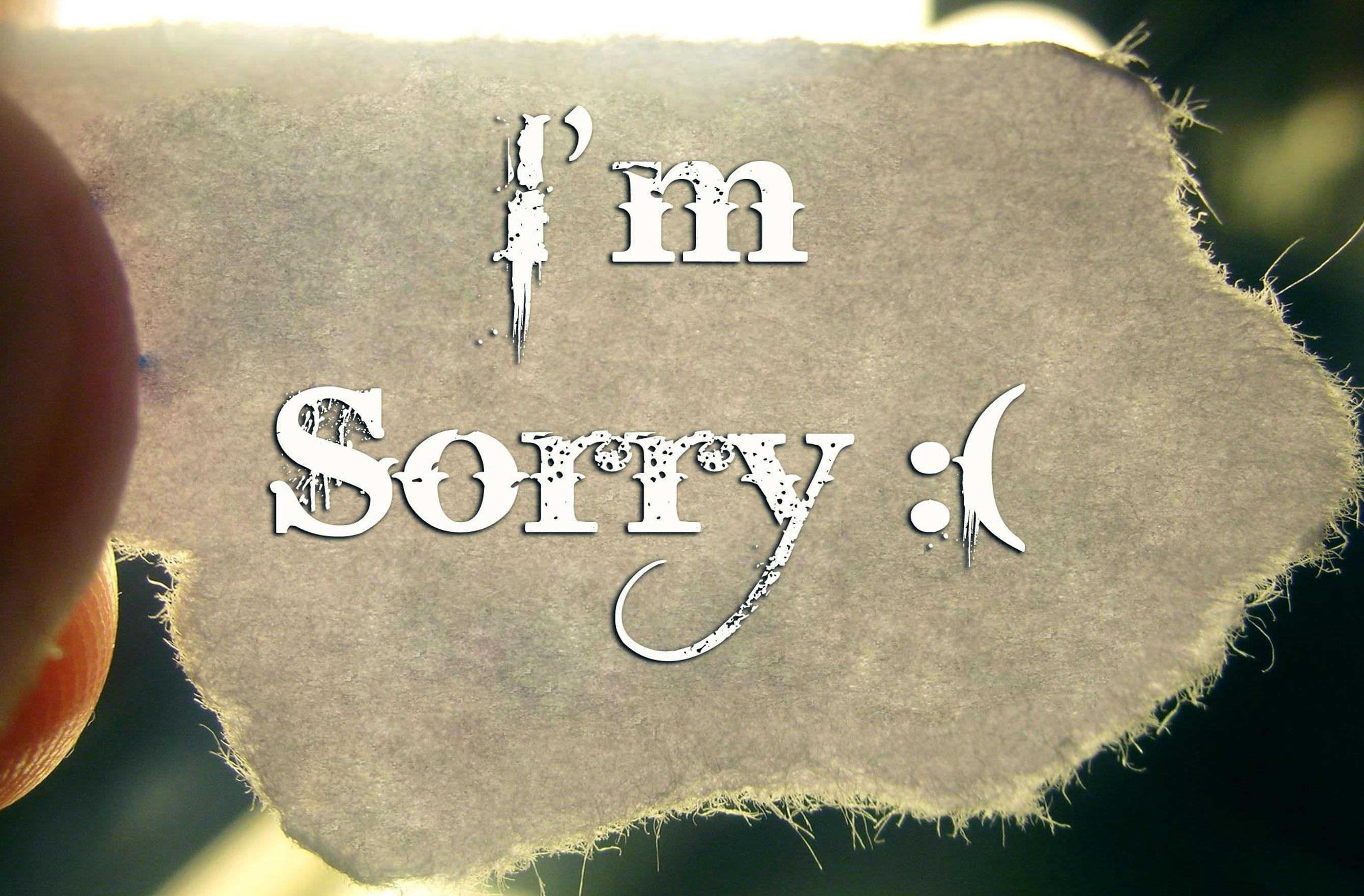 Sorry Wallpaper Hd - Saying Sorry To My Love - HD Wallpaper 