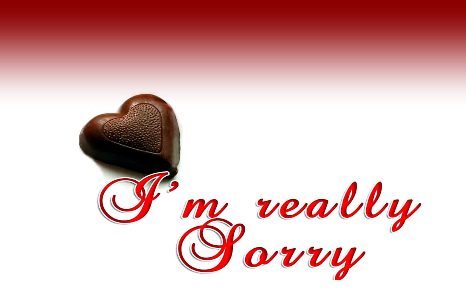 I Am Really Sorry Quotes Hd Wallpaper Latest Sorry 1600x1000 Wallpaper Teahub Io