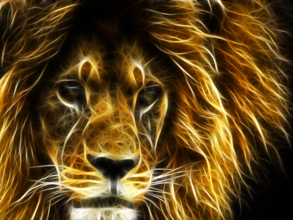Lion - 3d Wallpaper Lion Download - HD Wallpaper 