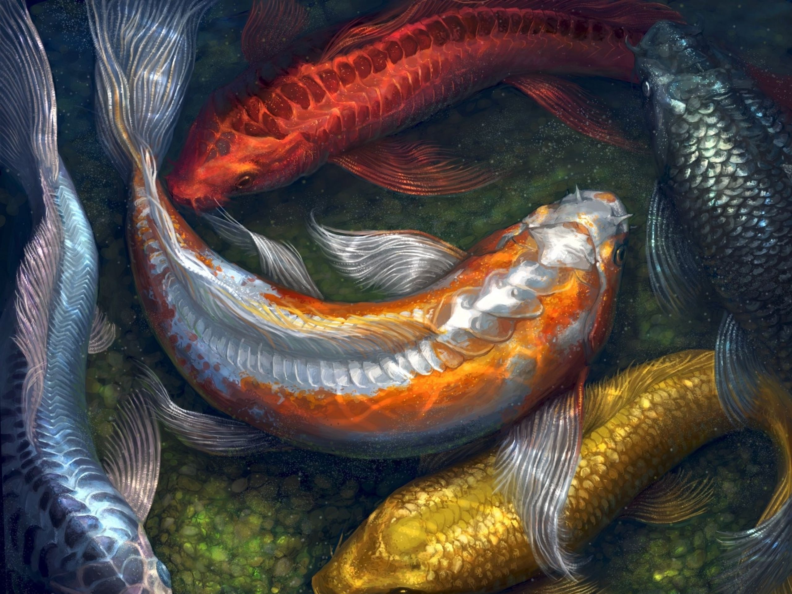 Koi Fish Painting Wallpaper Hd - HD Wallpaper 