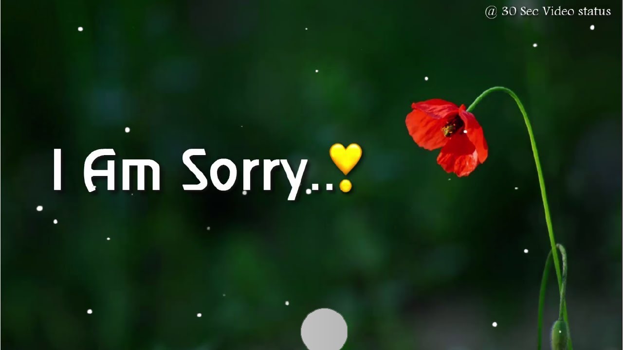 Sorry Wallpaper For Boyfriend - HD Wallpaper 