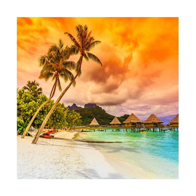 Natural Images With Coconut Trees - HD Wallpaper 