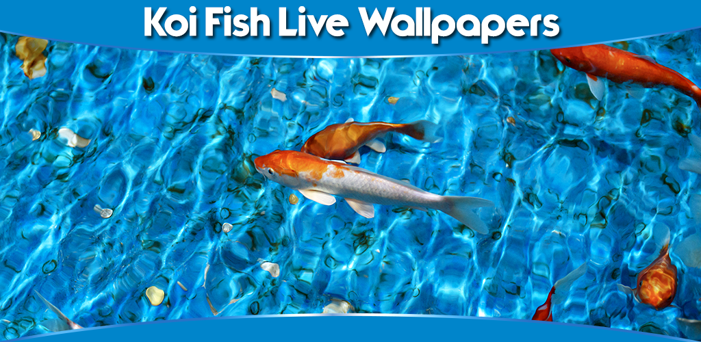 Underwater - HD Wallpaper 