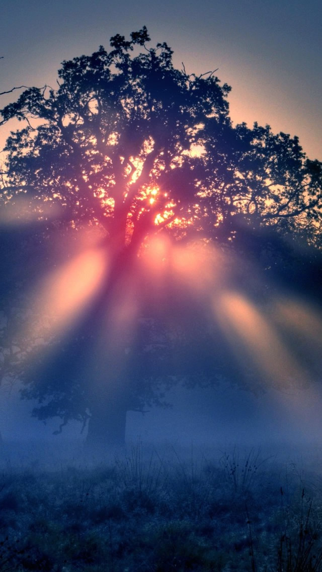 Foggy Sunrise Nature Iphone Wallpaper - Nature Wallpaper Iphone Background - HD Wallpaper 