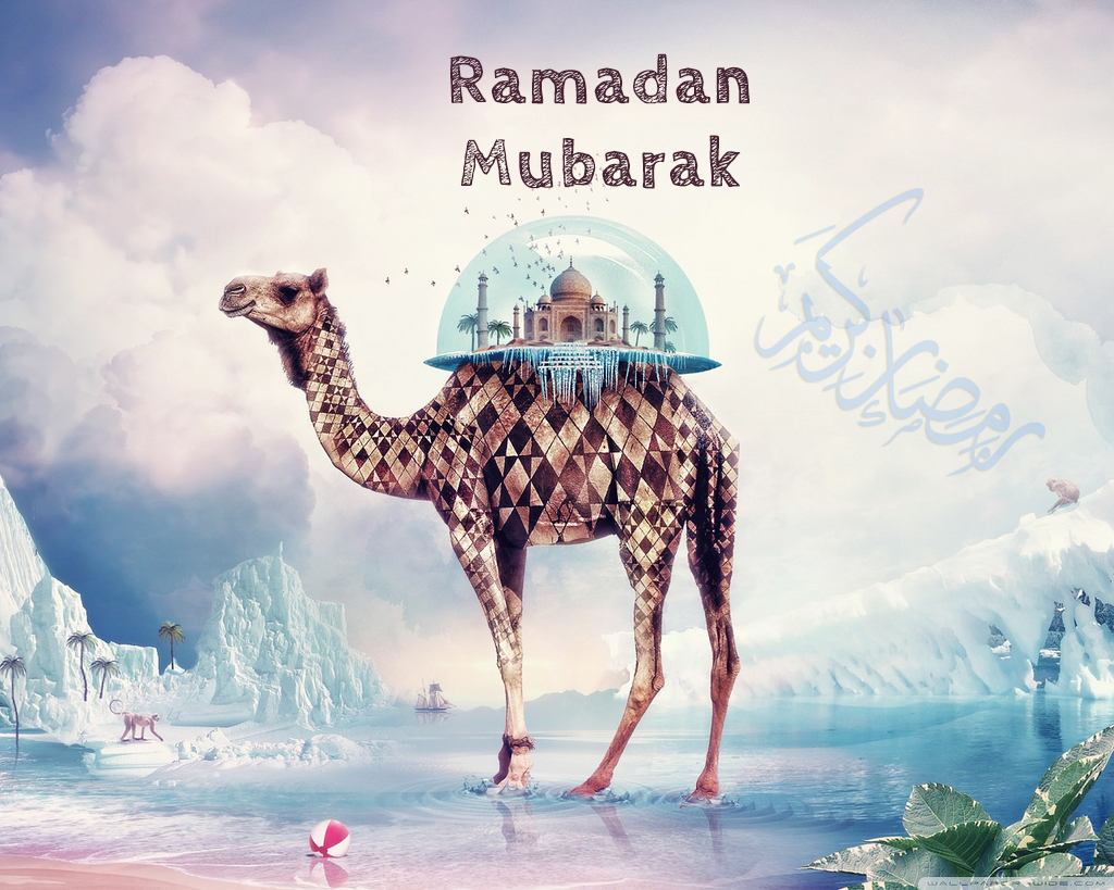 Latest Ramadan Wallpapers - Camel Hd - HD Wallpaper 
