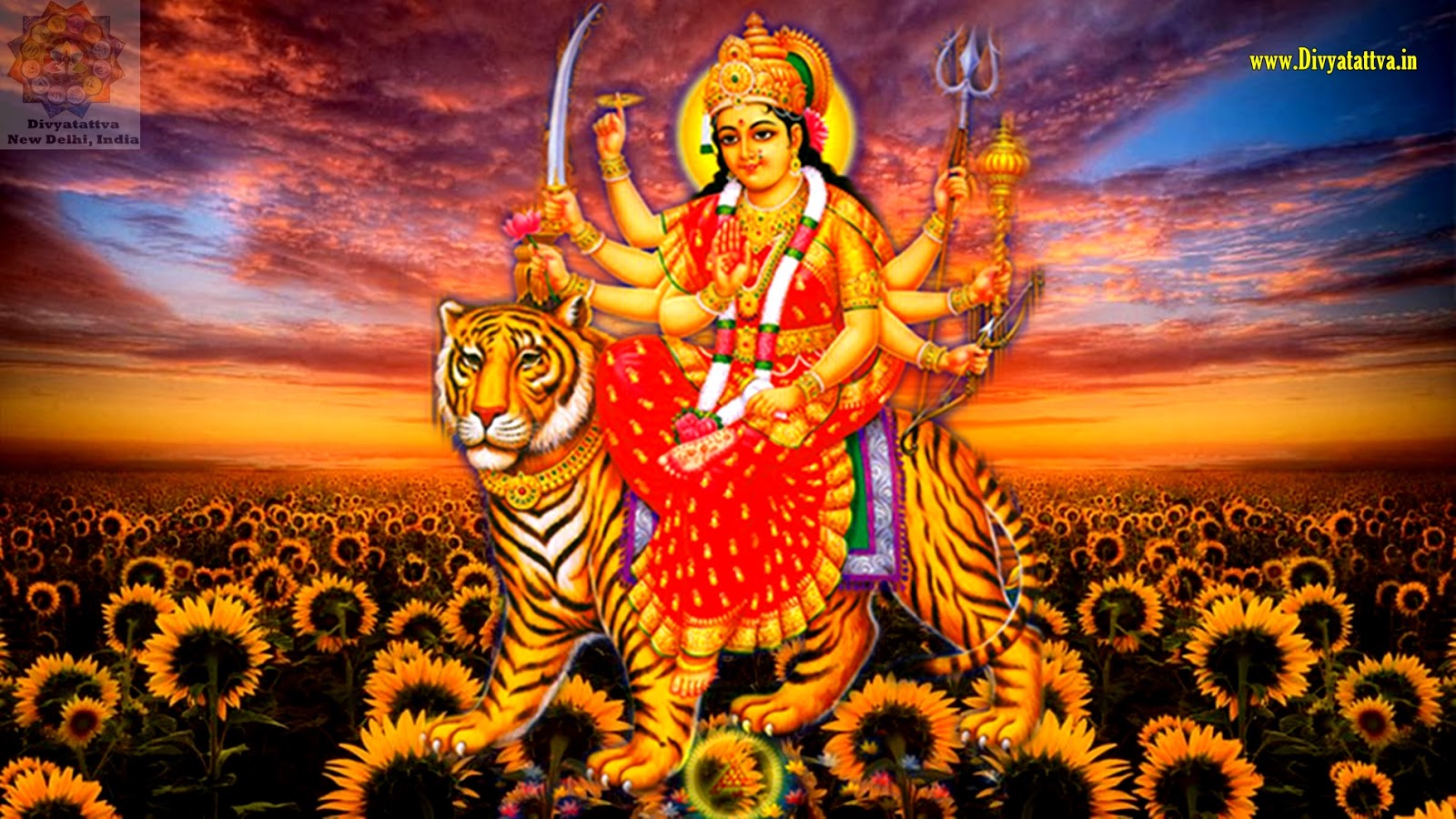 Durga Devi, Durga Wallpaper, Durga Photos, Durga Pictures, - Sunflower Backgrounds For Computers - HD Wallpaper 