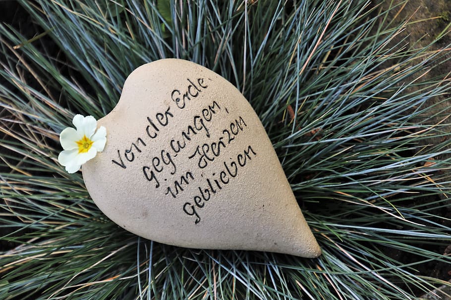 Busco Imagenes De Recuerdos - HD Wallpaper 