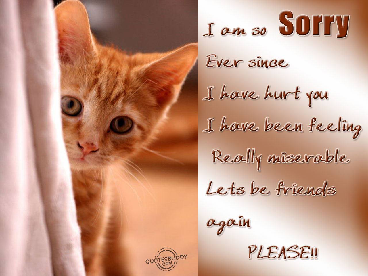 Sorry Quotes Graphics - Sorry For Hurting You Friend - HD Wallpaper 