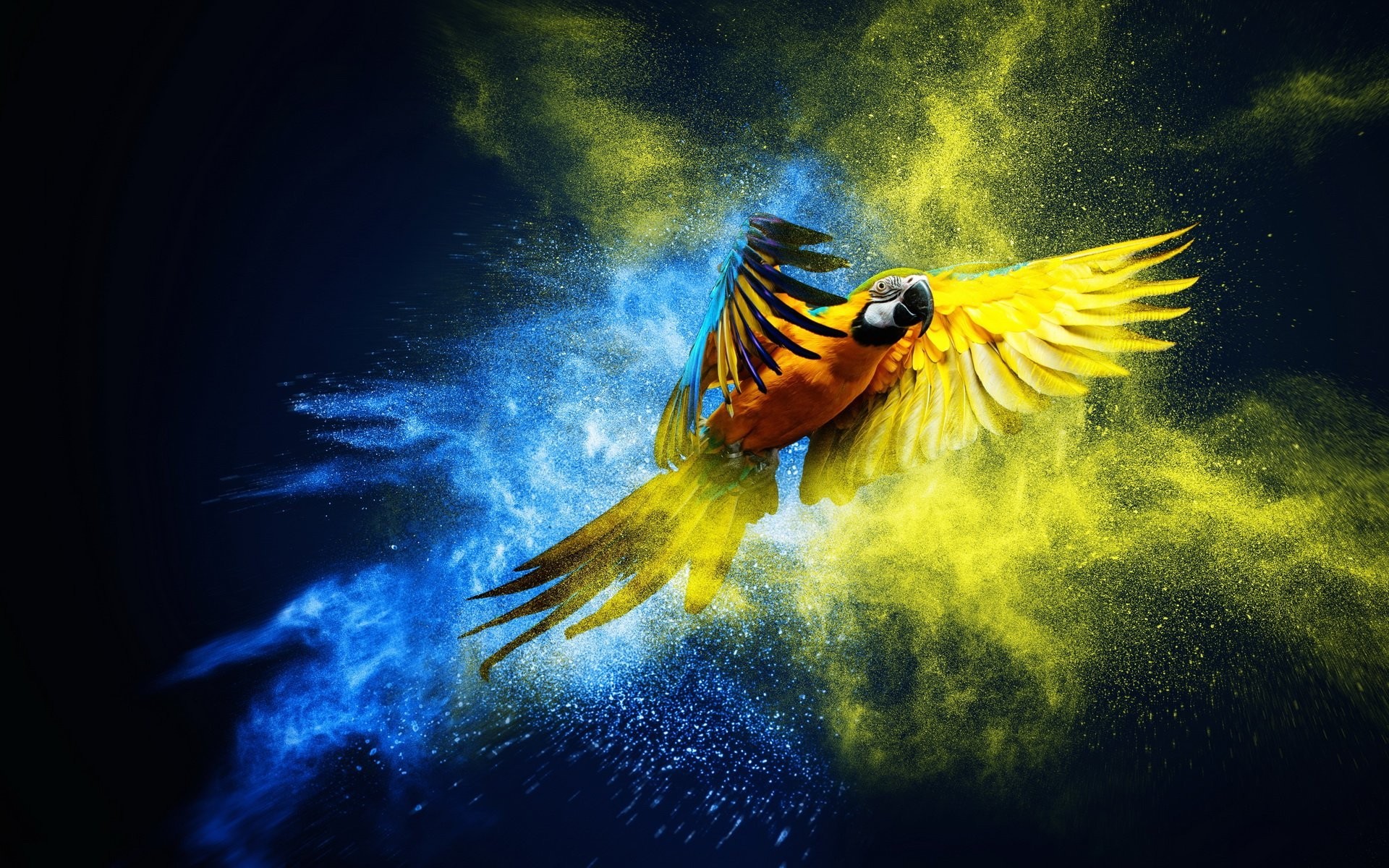 1920x1200, 
 Data Id 344972 
 Data Src /walls/full/f/a/6/344972 - Macaw Parrot - HD Wallpaper 