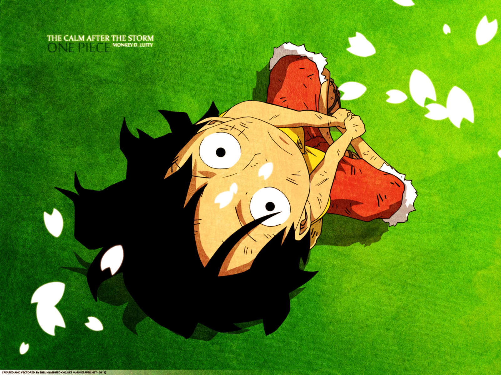 One Piece Wallpaper - HD Wallpaper 