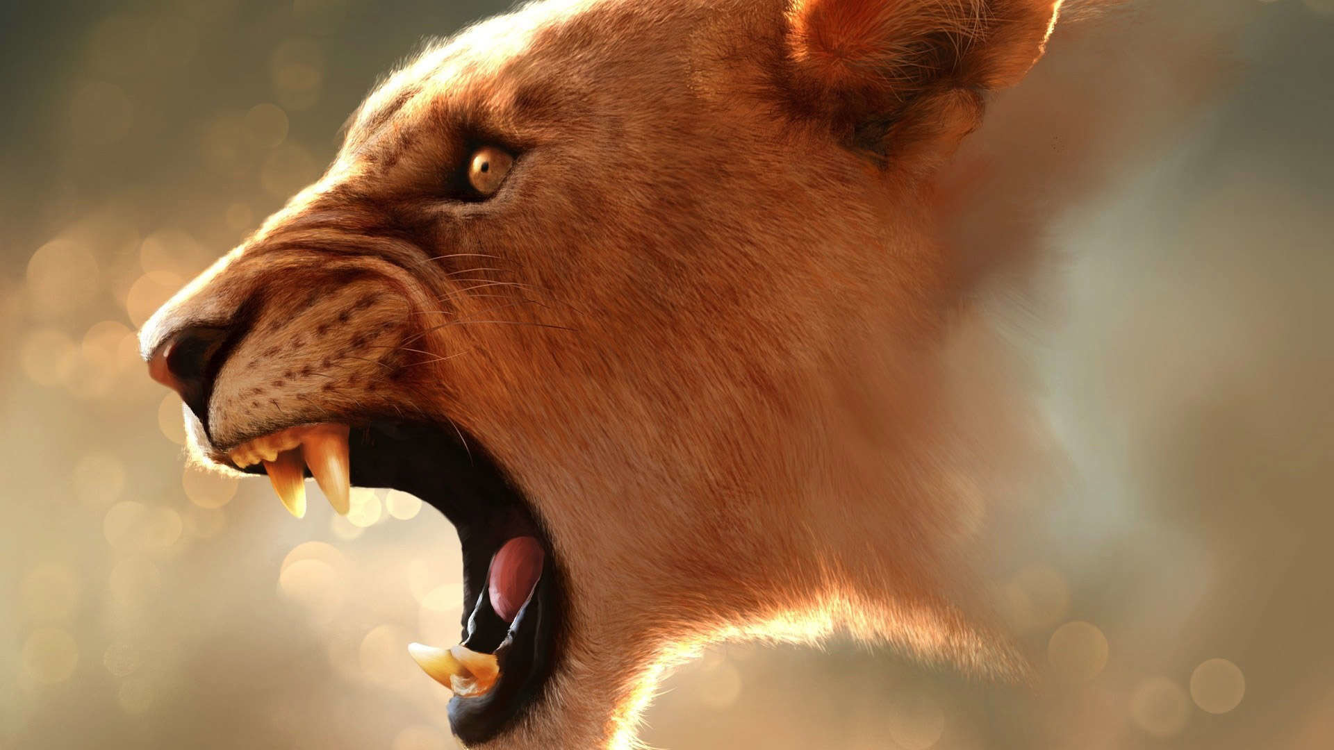 Angry Lion Wallpaper 1080p 
 Data Src Angry Lion Eyes - Angry Lion Lion Images Hd 1080p - HD Wallpaper 
