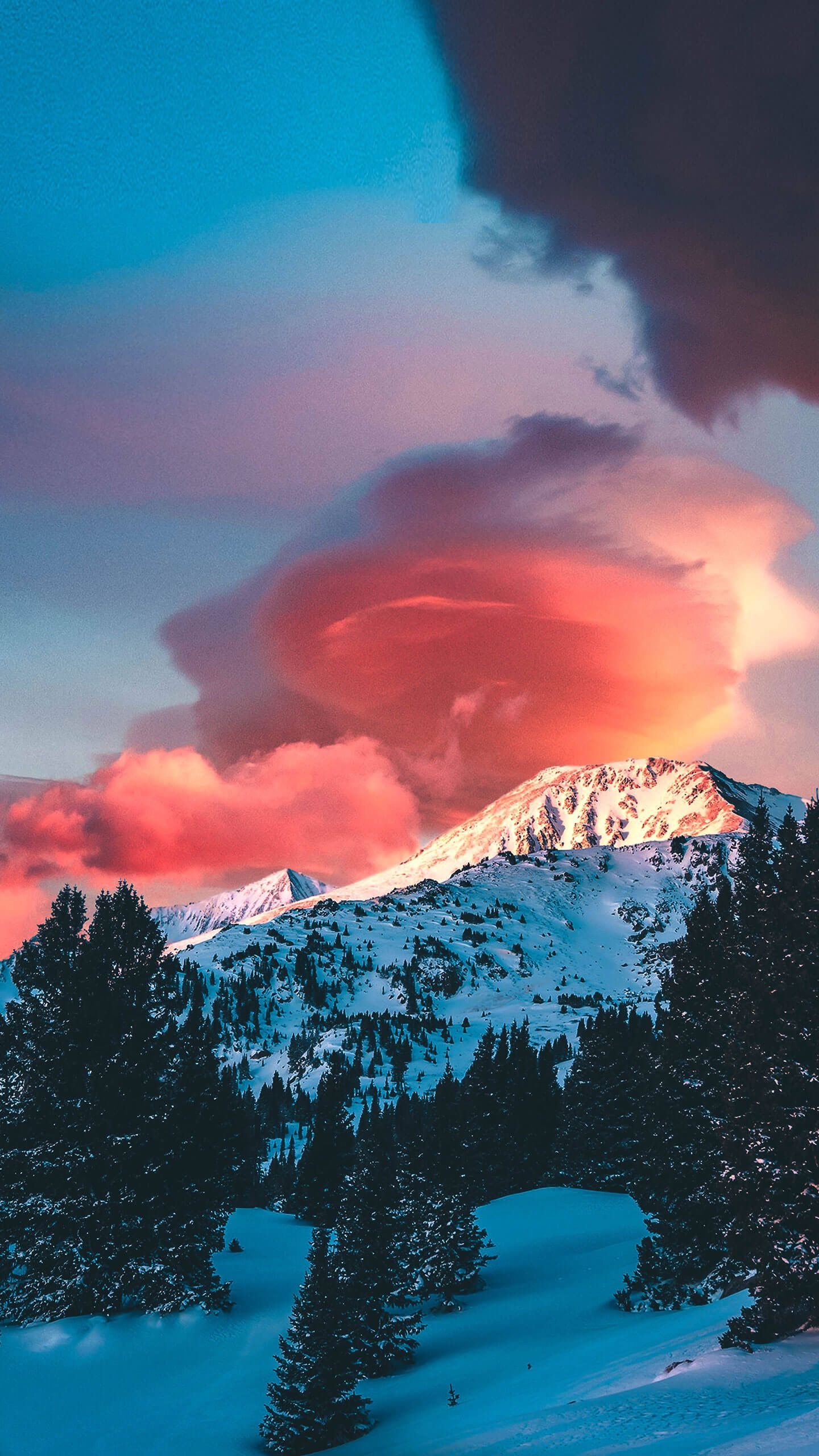 Wallpaper - HD Wallpaper 