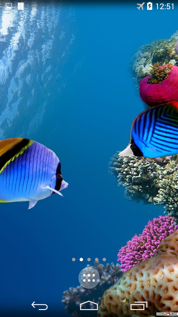 Laptop Wallpaper Related Under Ocean - HD Wallpaper 