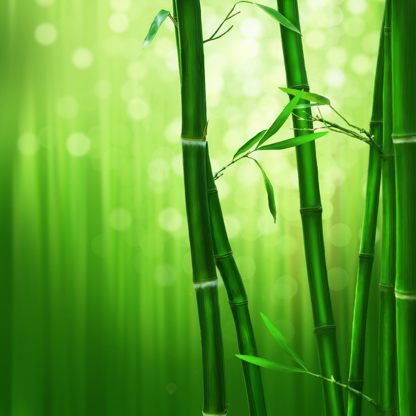 Beautiful 3d  Wallpaper  Of Bamboo With Green Background 