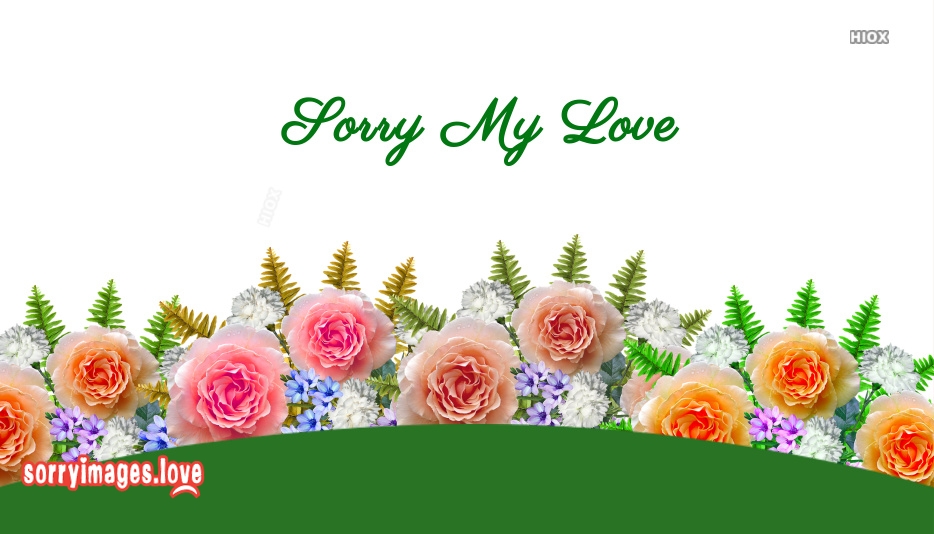 Garden Roses - HD Wallpaper 