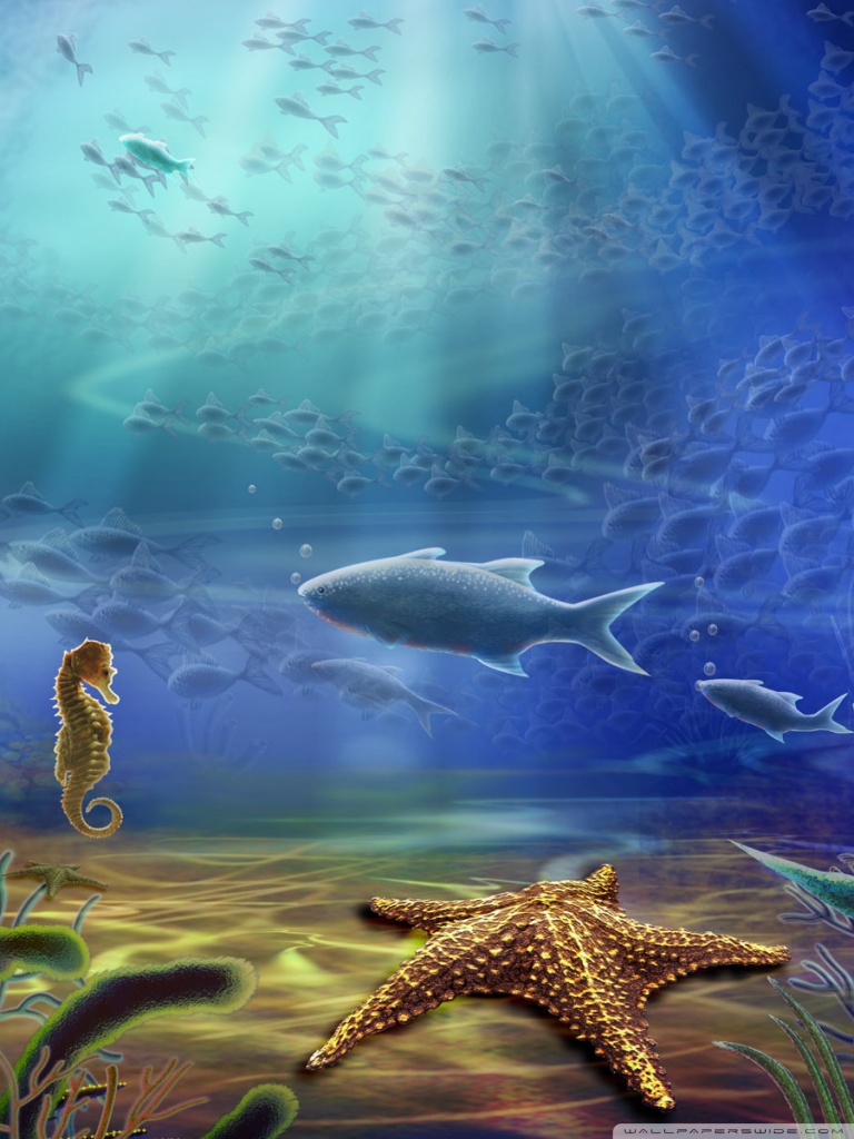 Under The Ocean - HD Wallpaper 