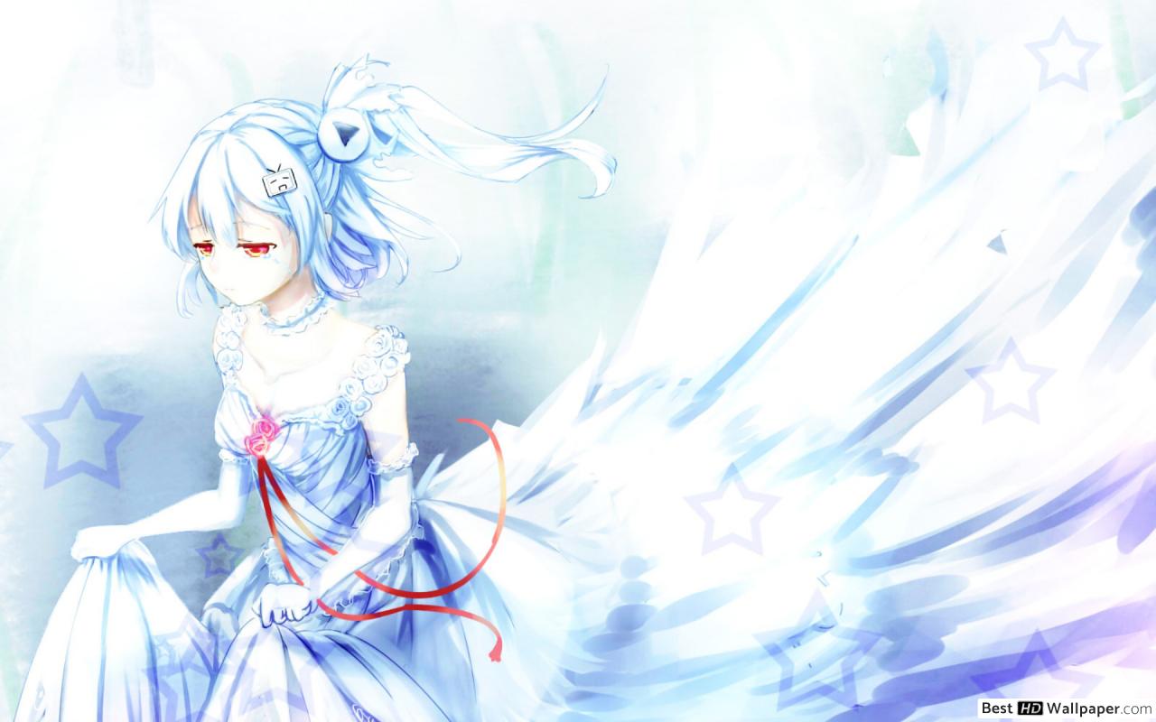 Wallpaper - HD Wallpaper 