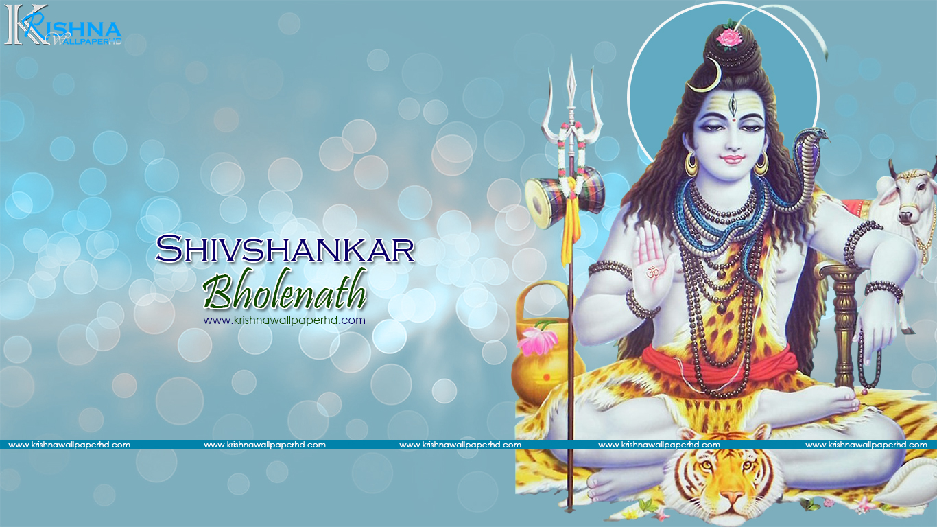 Wallpaper - HD Wallpaper 