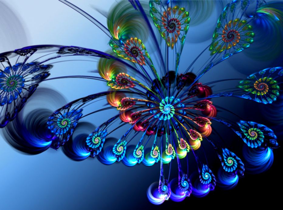 Beautiful Flowers Rose Wallpapers Hd Images Download - 3d Wall Paper Flower - 931x691 Wallpaper Beautiful Flowers Rose Wallpapers Hd Images Download - 3d Wall Paper Flower - 931x691 Wallpaper