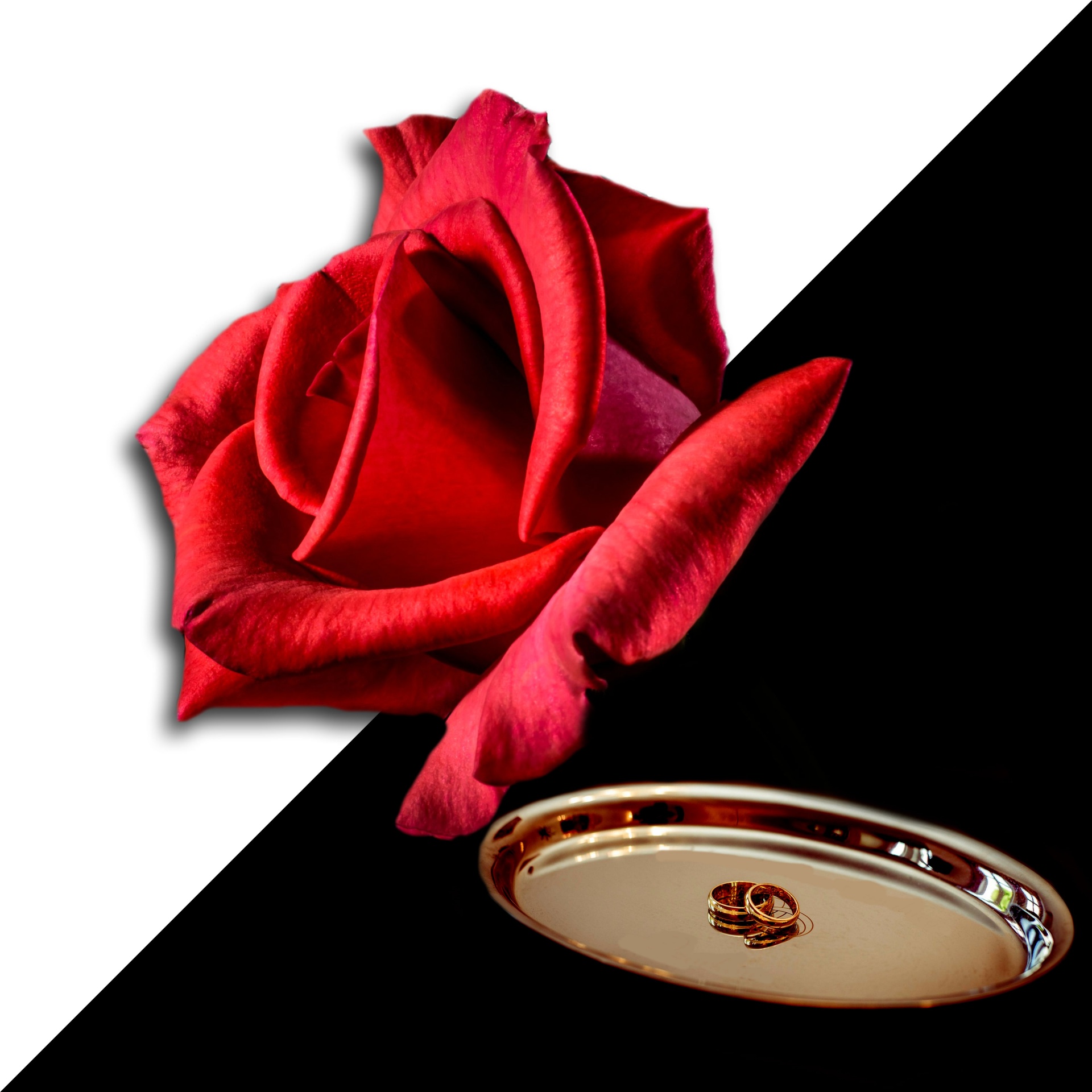 Wallpaper,free Pictures, Free Photos, Free Images, - Happy Birthday Sister Images Inspirational - HD Wallpaper 