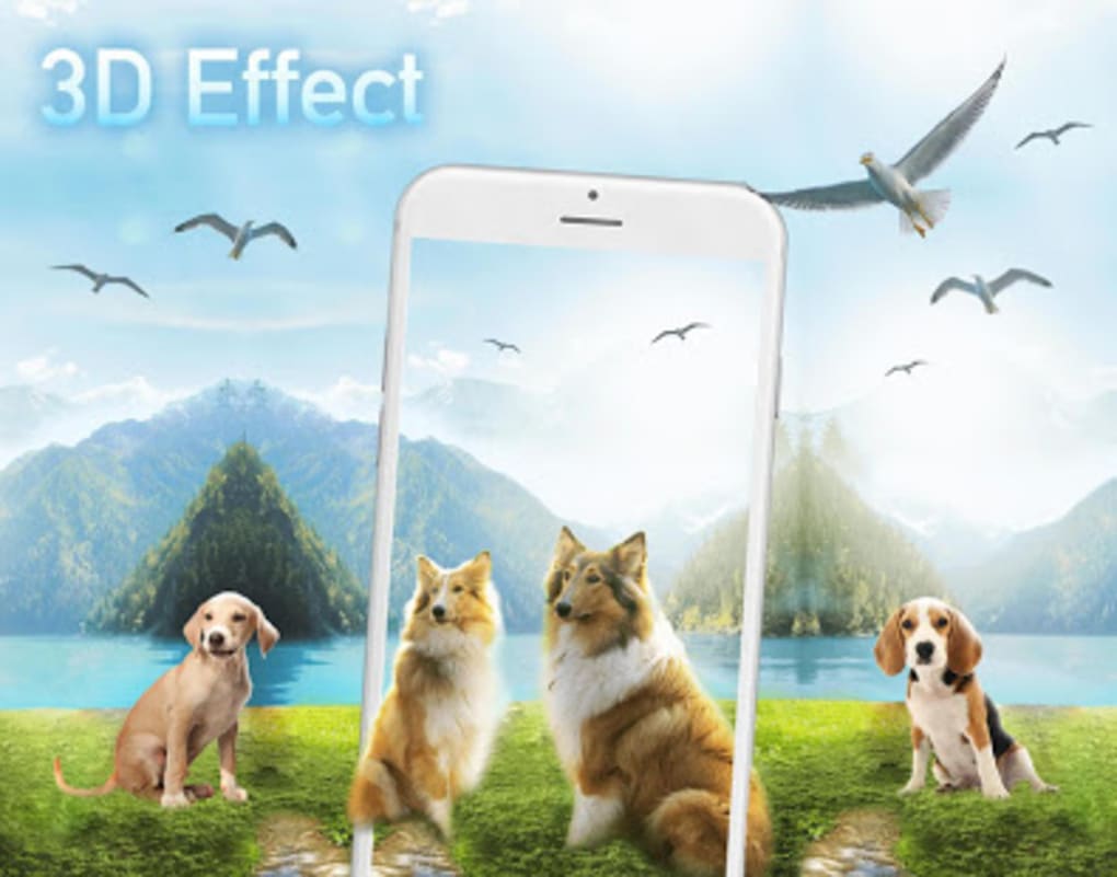 Color Phone Launcher - Companion Dog - HD Wallpaper 